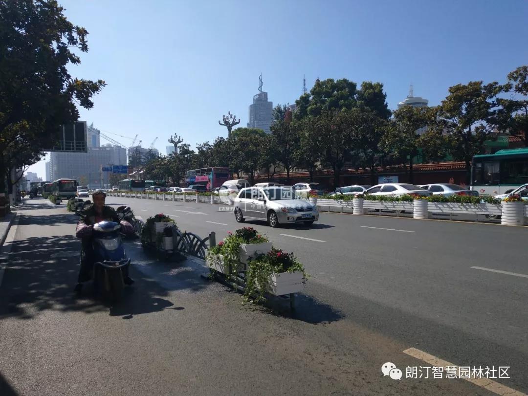 昆明北京路花箱景觀