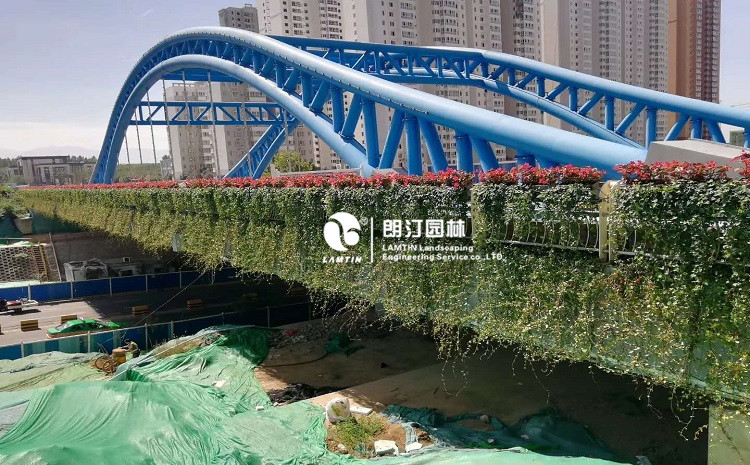 朗汀園林植物墻專用花盆打造西安城市“生態(tài)體”