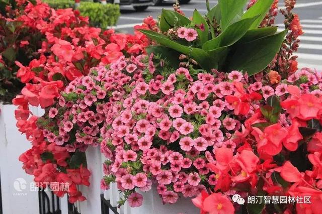 方形雕花藝術(shù)花箱