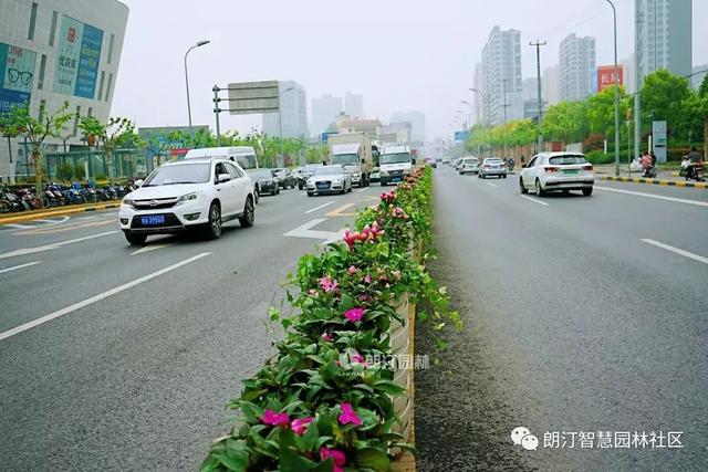 厲害了，上海長壽路上了頭條！