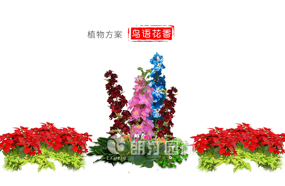 彩云間快拼花箱