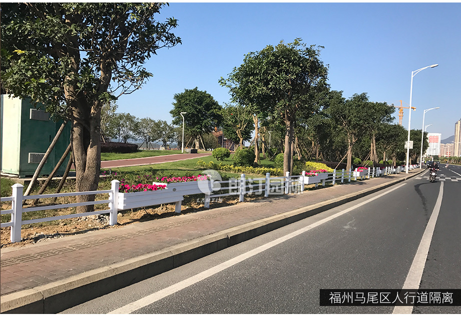 臺(tái)階式護(hù)欄花箱道路隔離案例