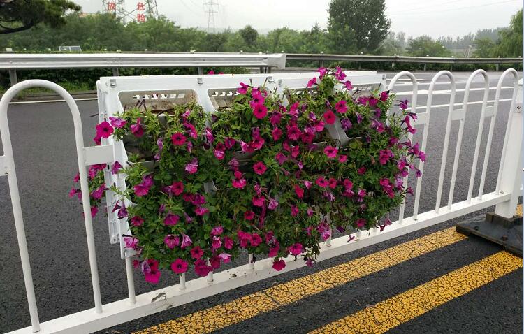 道路中央隔離護欄掛花花盆