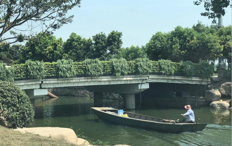 浙江橋梁防護欄立體綠化案例