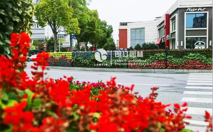 道路隔離植物墻景觀