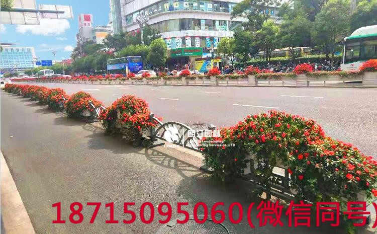 云南昆明北京路隔離帶花箱大大提升道路景觀