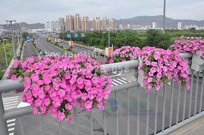 高架橋花盆