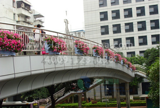 高架橋花盆